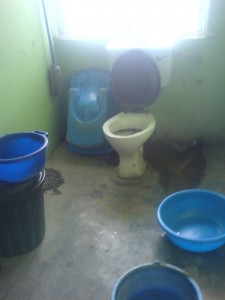 toilet2.JPG